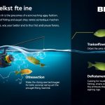 Betone捕魚機使用技巧分享
